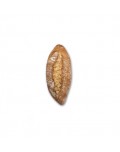 PANECILLO RUSTICO 5 ESP.60G.BELLSOLA 60 UDS.