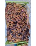 DATIL DEGLET NOUR ARG CAJA 8 KILOS
