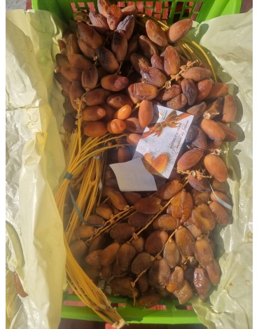 DATIL DEGLET NOUR AR 8 KILOS