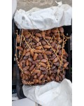 DATIL DEGLET NOUR AB5   5 KILOS RAMA