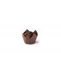 TULIPA CHOCOLATE 60 G.20 UDS.PASTISART